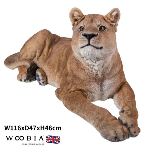 置物 お座りメスライオン 大 高さ46cm おしゃれ 大きい 玄関 インテリア 庭 ガーデン かわい...