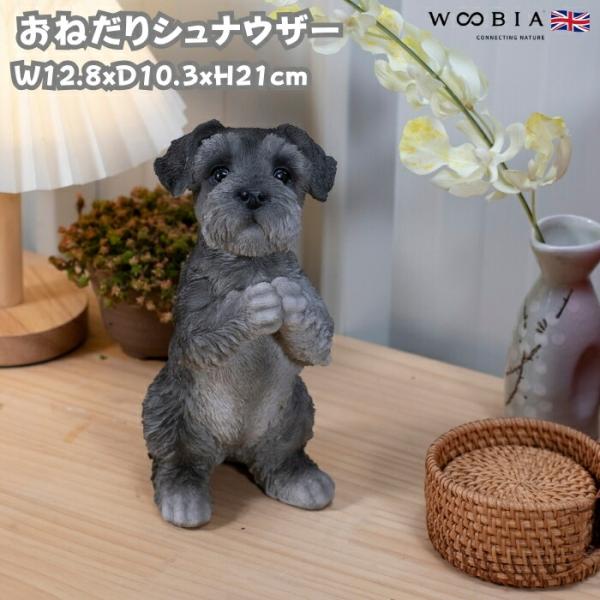 犬 置物 おしゃれ おねだりシュナウザー かわいい 動物 インテリア オブジェ ガーデンオーナメント...