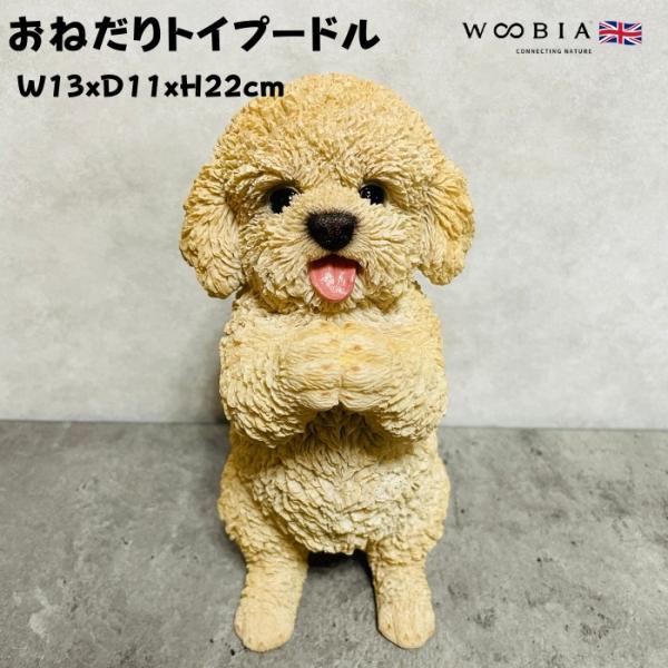 置物 犬 かわいい 動物 玄関 おねだりプードル おしゃれ インテリア ガーデンオーナメント woo...