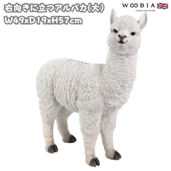 置物 動物 右向きに立つアルパカ 大 高さ57cm おしゃれ 大きい 玄関インテリア 庭 ガーデン ...
