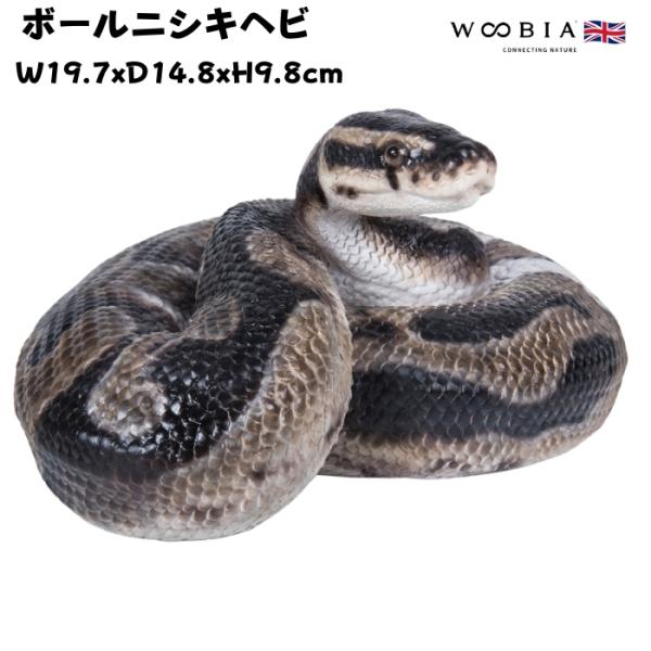置物 動物 ボールニシキヘビ 高さ9.8cm woobia おしゃれ 大きい 玄関インテリア 庭 ガ...