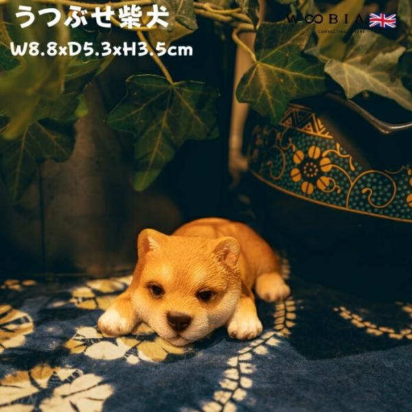 置物 犬 かわいい 動物 玄関 うつぶせ柴犬 グッズ おしゃれ インテリア 卓上 ガーデン 庭 wo...