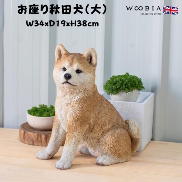 置物 お座り秋田犬 大 犬グッズ 高さ38cm woobia 動物 おしゃれ 大きい 玄関 インテリ...