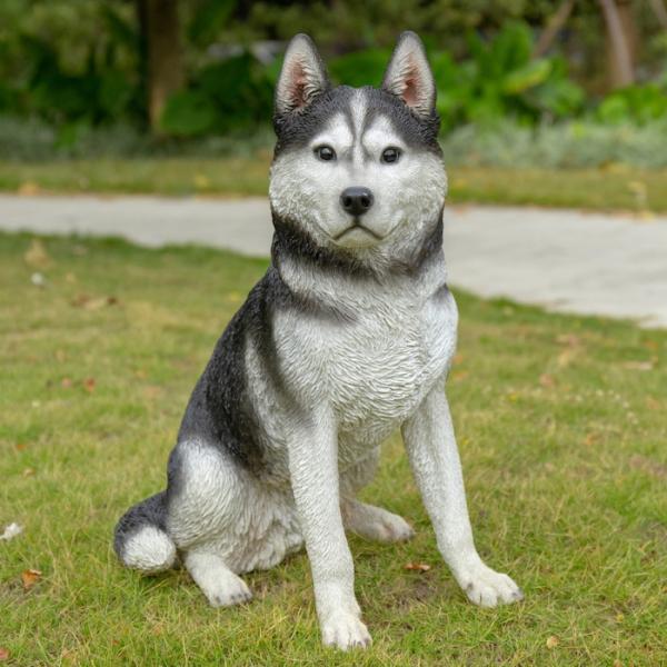 かわいい 犬 置物 お座り シベリアンハスキー 高さ50cm イヌ 動物 おしゃれ 玄関 インテリア...