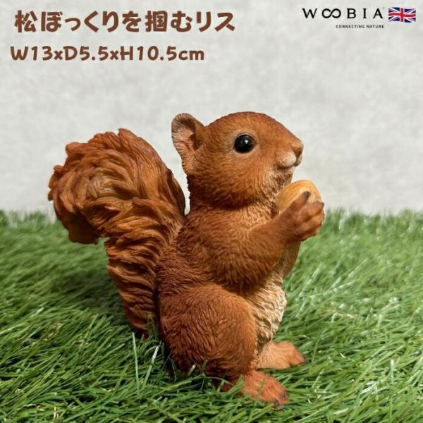 置物 松ぼっくりを掴むリス おしゃれ かわいい 玄関 インテリア 庭 ガーデンオーナメント woob...
