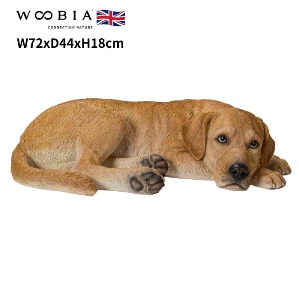置物 うつぶせラブラドール・レトリバー 高さ18cm woobia おしゃれ 大きい 玄関 インテリ...