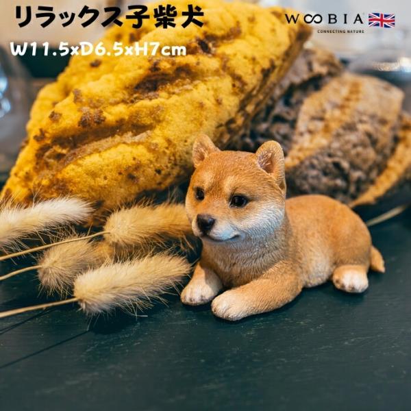 置物 犬 かわいい 動物 玄関 リラックス子柴犬 グッズ おしゃれ インテリア 卓上 ガーデン 庭 ...