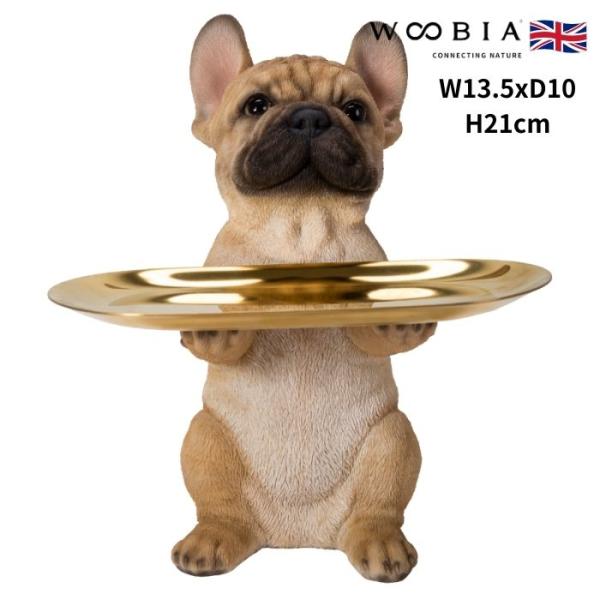 置物 フレンチ・ブルドッグの小物置き 取り外し可能 イヌ 犬 高さ21cm 動物 おしゃれ 大きい ...