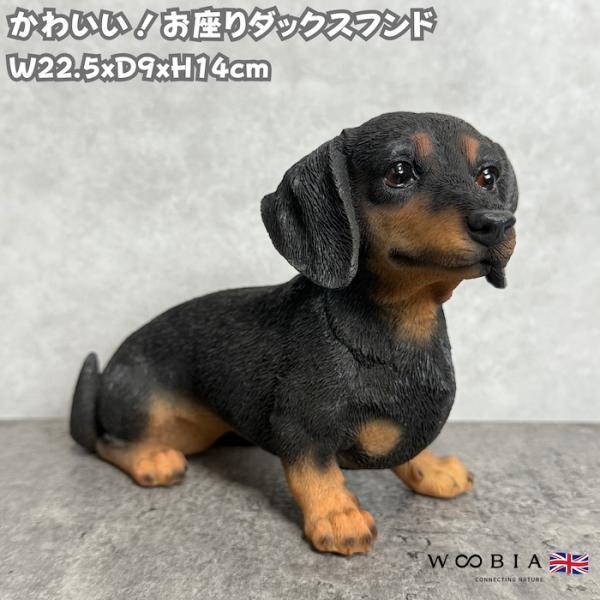 置物 犬 かわいい 横幅22.5cm 動物 玄関 お座りダックスフンド ブラックタン おしゃれ イン...