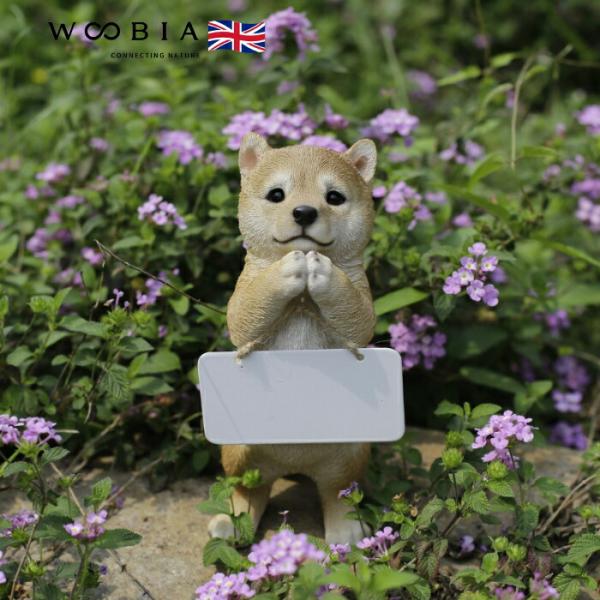 置物 犬 かわいい 動物 玄関 おねだり柴犬 ボード付き おしゃれ インテリア 卓上 ガーデン 庭 ...