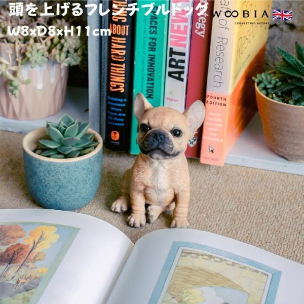 置物 犬 かわいい 動物 玄関 頭を上げるフレンチブルドッグ リアル インテリア ガーデンオーナメン...