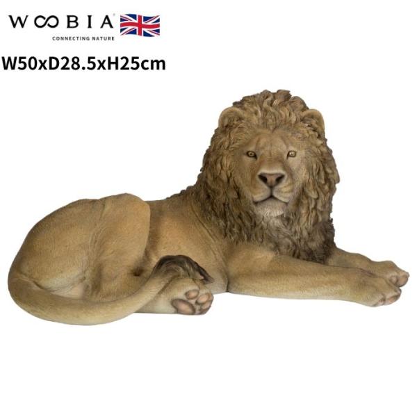 置物 横たわるライオン 高さ25cm woobia 動物 おしゃれ 大きい 玄関インテリア 庭 ガー...
