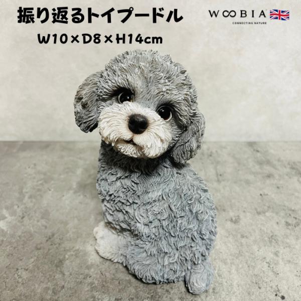 かわいい 犬 置物 振り返るトイプードル グレー 動物 おしゃれ 玄関 インテリア ガーデンオーナメ...
