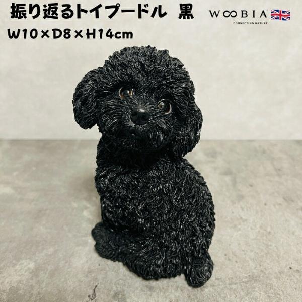 置物 犬 かわいい 動物 玄関 振り返るトイプードル ブラック おしゃれ インテリア ガーデンオーナ...