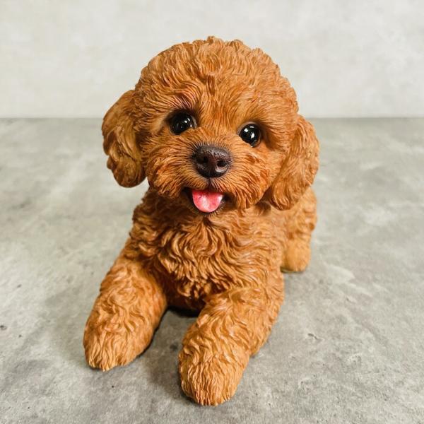 かわいい 犬 置物 見上げるトイプードル ブラウン 動物 おしゃれ 玄関 贈り物 可愛い インテリア...