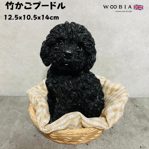 置物 犬 かわいい 動物 玄関 竹かごプードル ブラック おしゃれ インテリア ガーデンオーナメント...