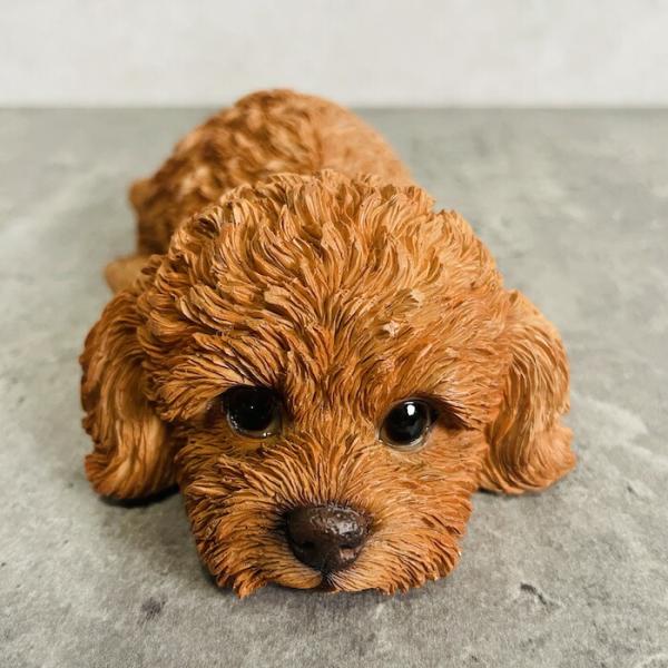 かわいい 犬 置物 うつぶせトイプードル 茶色 動物 おしゃれ 玄関 贈り物 インテリア ガーデンオ...