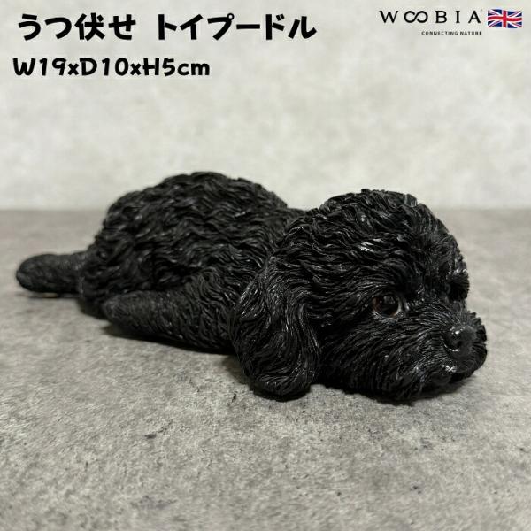 置物 犬 かわいい 動物 玄関 うつぶせトイプードル ブラック おしゃれ インテリア ガーデン wo...