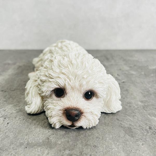 かわいい 犬 置物 うつぶせトイプードル 白 動物 おしゃれ 玄関 贈り物 可愛い インテリア ガー...
