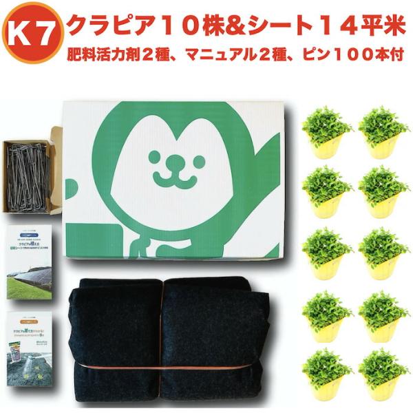 予約商品 クラピア K7 9cmポット苗 10鉢 ミドリスすくすくシート14平米+J字型ピン100本...