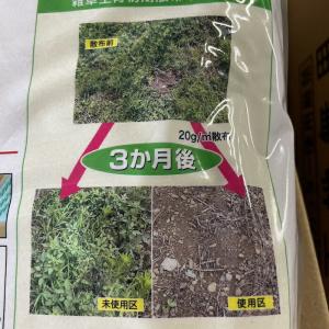 除草剤 強力 顆粒 ネコソギメガ粒剤3 7kg...の詳細画像3