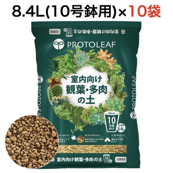 まとめ買い プロトリーフ 室内向け観葉・多肉の土10号鉢用 8.4L×10袋 観葉植物 多肉植物