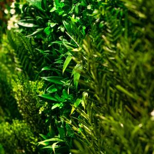 高級人工壁面緑化植物 ビスタフォリア 80cm...の詳細画像4