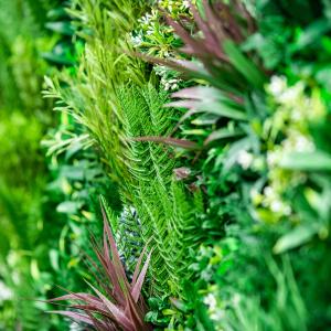高級人工壁面緑化植物 ビスタフォリア 80cm...の詳細画像5