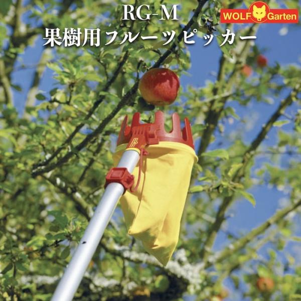 ウルフガルテン 果樹収穫用 フルーツピッカー RG-M ハンドル別売り ドイツブランド 園芸 菜園 ...