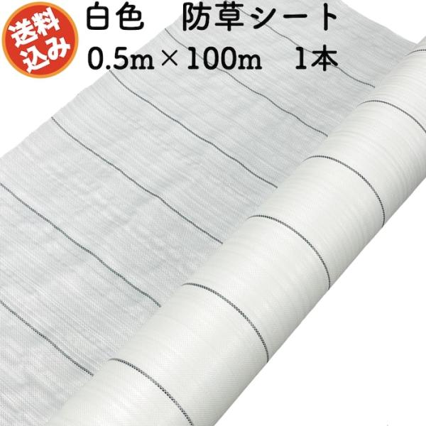 防草シート 白色（サンホワイト） 0.5m×100m 1本 抗菌剤 UV剤入り 反射 除草シート 太...