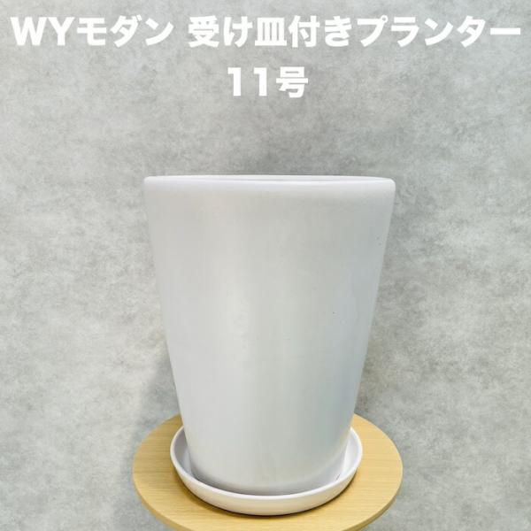 植木鉢 大型 11号 白色 ホワイト WYモダン PR1 マット釉 受け皿付きセット おしゃれ 鉢カ...