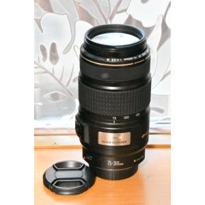 DG（シグマ） シグマ SIGMA APO 70-300mm F4-5.6 DG MACRO キヤノン用