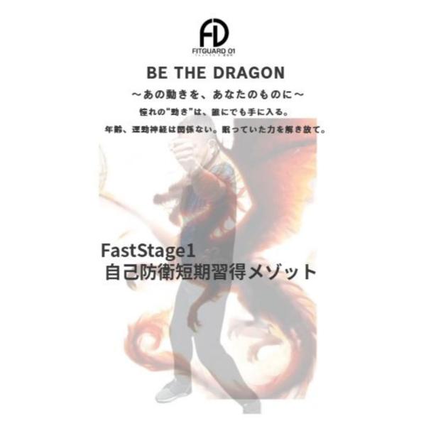 BE THE DRAGON：自己防衛×身体覚醒メソッドDVD fitguard01〜年齢・体力関係な...