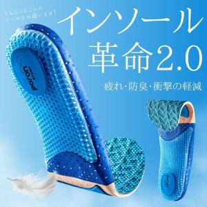 ガイアの水135 ガイアの水 和蓮ポット 浄水器 カートリッジ付き PFOS