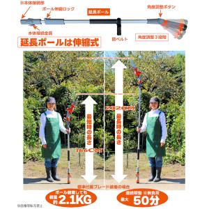 高枝のこぎり 3種ブレード替刃・他付 「12V...の詳細画像5