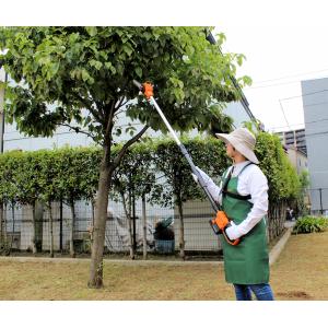 便利なサービス品付 高枝チェーンソー 高枝切り...の詳細画像3