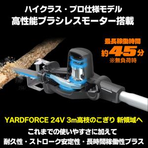高枝 電動のこぎり 24Vコードレス 3m ブ...の詳細画像2