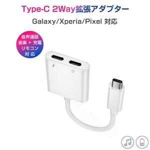 ipad proイヤホン変換アダプター 2in1 ケーブル Type C 音楽 充電 同時