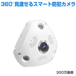 センサー式屋外ワイヤレスカメラ　VL-WD712X 概要 センサー付屋外ワイヤレスカメラ VL-WD712X | 消耗品・別売