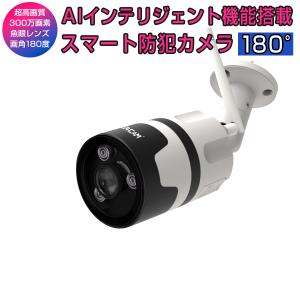 防犯カメラ C63S Vstarcam 2k 1296p 300万画素 ONVIF対応 180度魚眼レンズ ペットカメラ 無線 WIFI SDカード録画 監視 ネットワーク IP WEB PSE 技適 1ヶ月保証