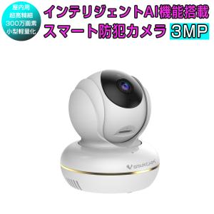 小型 防犯カメラ ワイヤレス C22S WQHD 2K 1296p 300万画素 超高画質 wifi MicroSDカード 録音 人型フレーミング 人体追跡 遠隔監視 PSE 技適 6ヶ月保証｜prostation