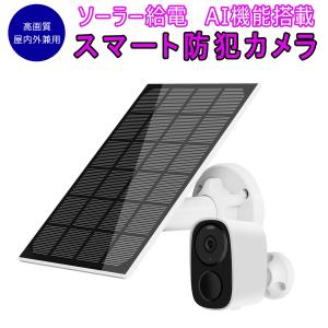 Ring Stick Up Cam Battery (リング スティックアップカム バッテリー