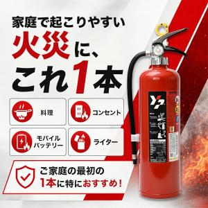2026年製 ヤマトプロテック YA-10NX...の詳細画像5