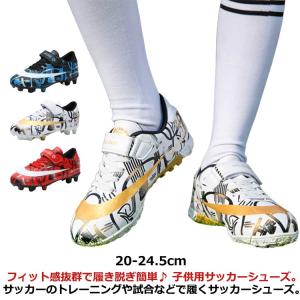 TOEI LIGHT トーエイライト カラースピードラダー 学校機器 器具