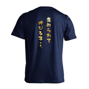 ハンドボール Tシャツ ウェア 半袖 褒められて伸びる子です XS-XL 練習着 (プロテッジ)