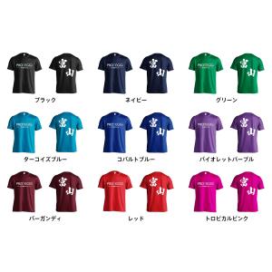 ハンドボール Tシャツ ウェア 半袖 都道府県...の詳細画像2