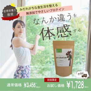 お試しプロテイン プロテイン ソイプロテイン 特...の商品画像