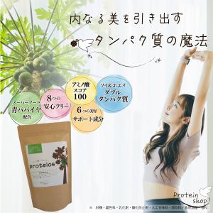お試しプロテイン プロテイン ソイプロテイン ...の詳細画像1