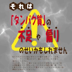 お試しプロテイン プロテイン ソイプロテイン ...の詳細画像5