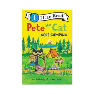 ピートザキャット キャンピングの買取情報